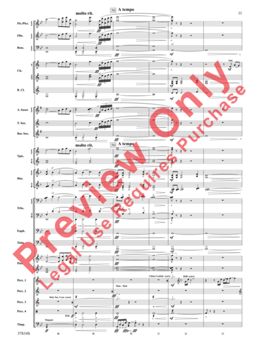 Poor Wayfaring Stranger Concert Band scores gallery preview page 12