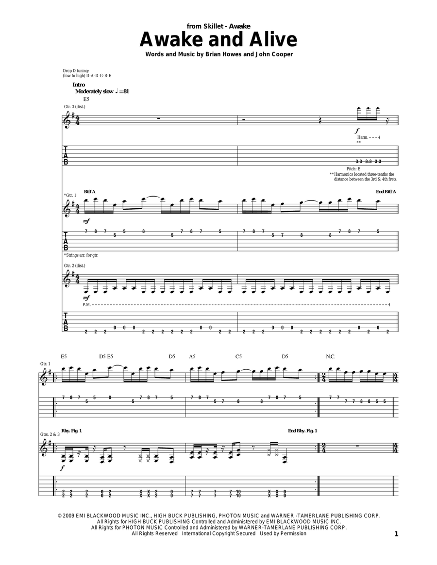 Awake And Alive Acoustic Guitar scores gallery preview page 1