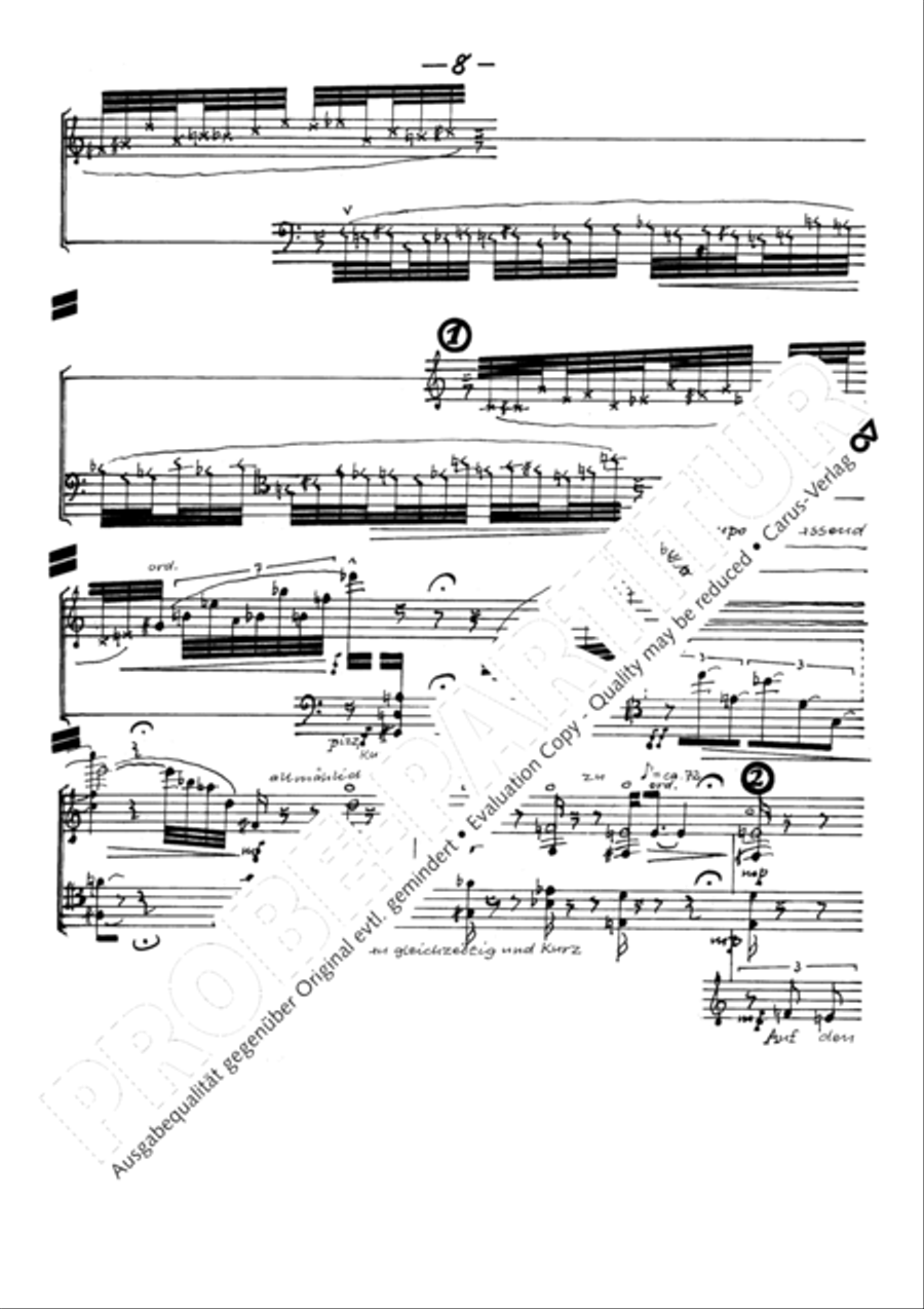 Todesblumen Flute scores gallery preview page 11
