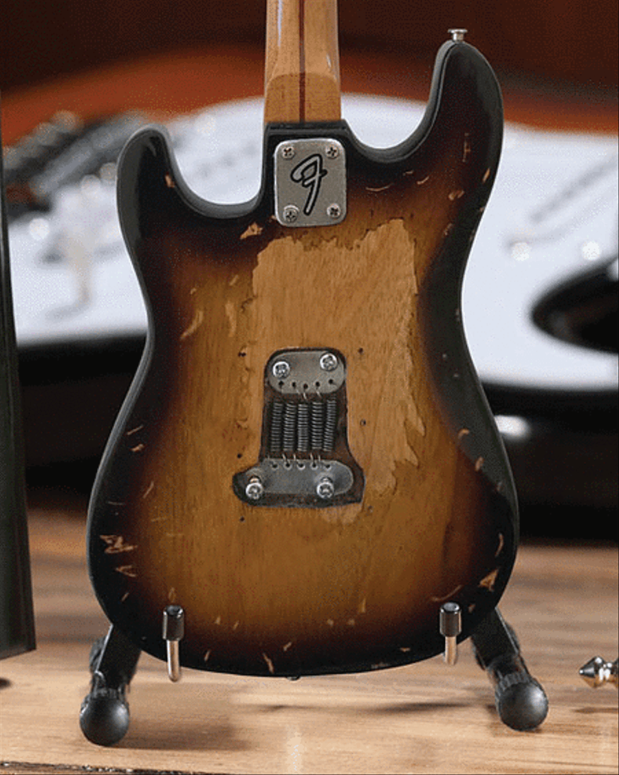 Eric's Famous Brownie Signature Fender™ Strat™ School and Community scores gallery preview page 4