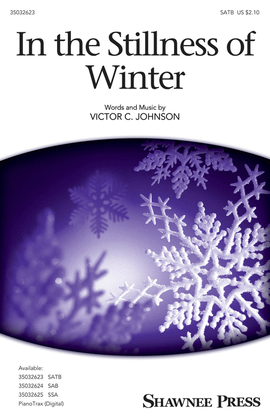 Book cover for In the Stillness of Winter
