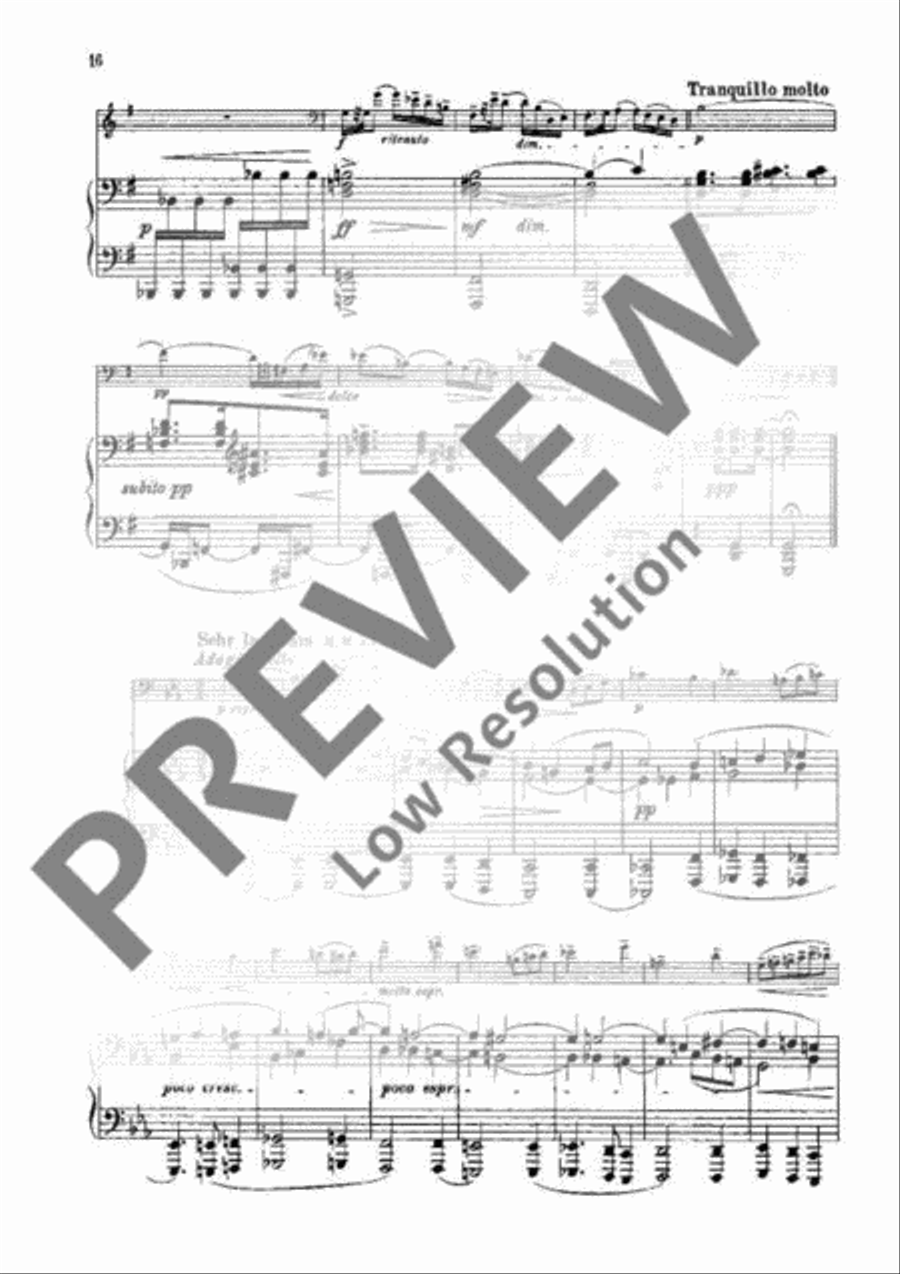 Sonata G Minor Piano Accompaniment scores gallery preview page 15