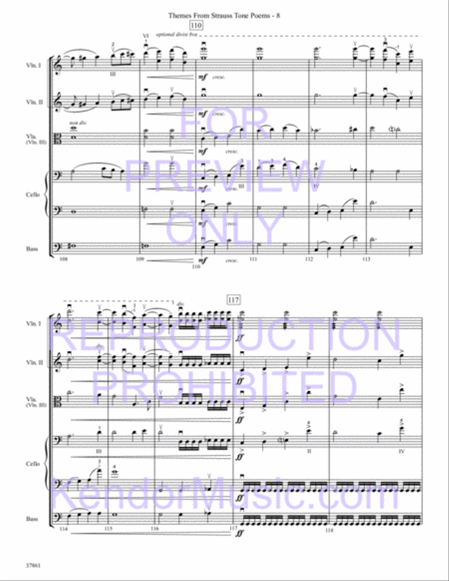 Themes From Strauss Tone Poems String Orchestra scores gallery preview page 10