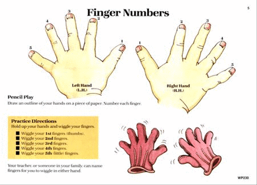 Piano for the Young Beginner - Primer A Piano Method scores gallery preview page 2
