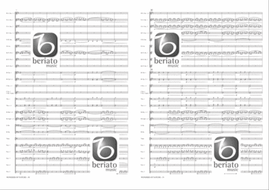 Wonders of Nature Fanfare Band scores gallery preview page 19