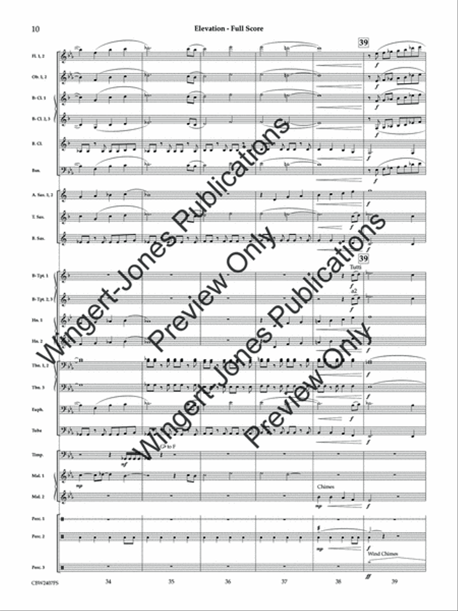 Elevation (Score) Concert Band scores gallery preview page 11
