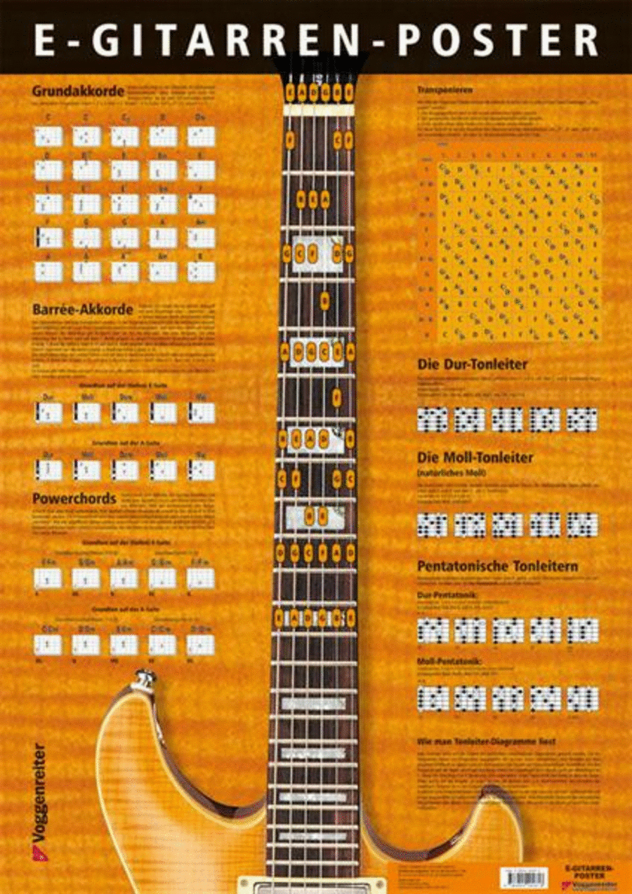E-Gitarren Poster