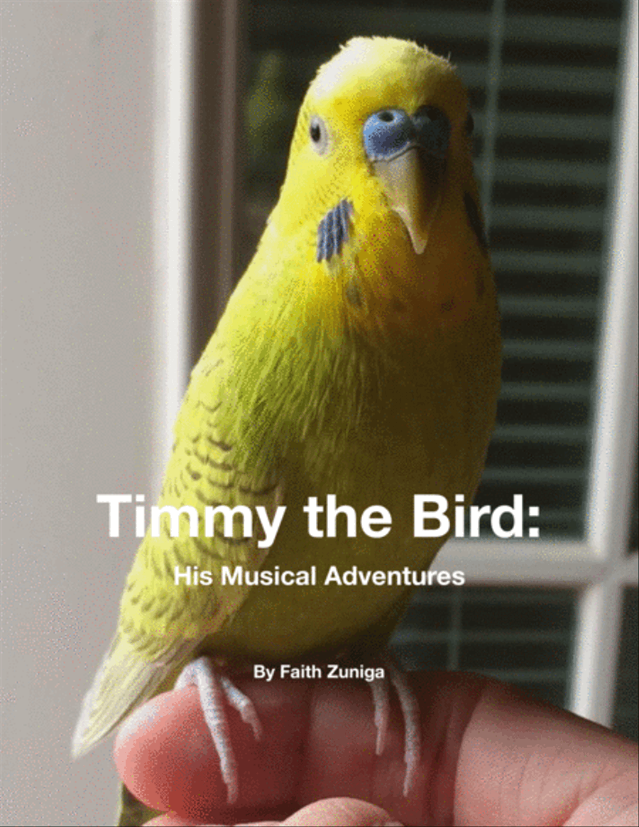 Timmy the Bird: His Musical Adventures Piano Solo scores gallery preview page 1