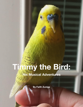 Timmy the Bird: His Musical Adventures