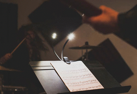 DuoFlex LED Music Light