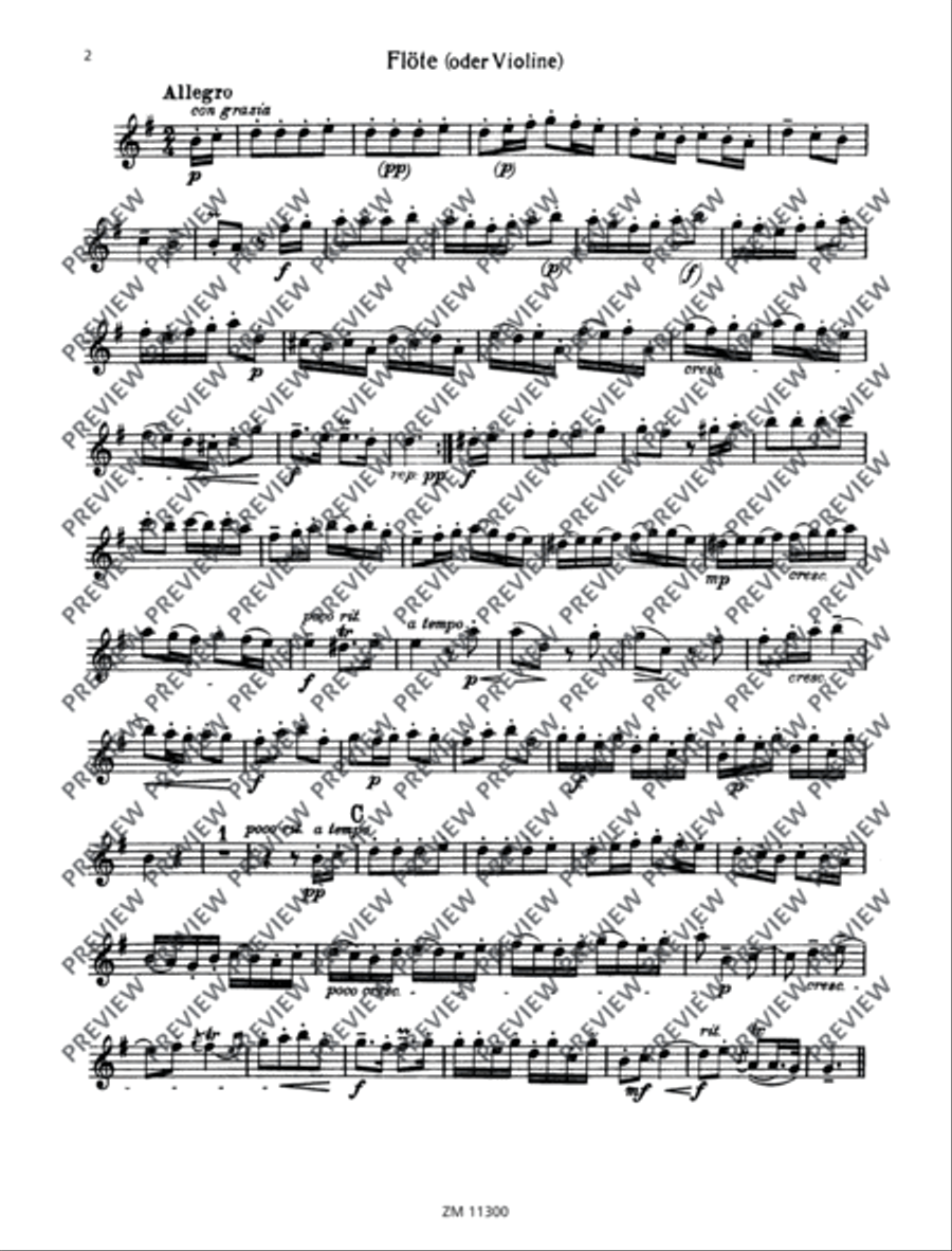 Sonata Flute scores gallery preview page 14