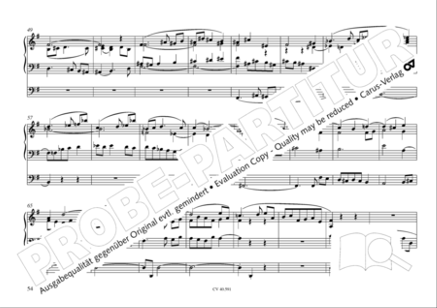 Free Organ Music from the Romantic Period, Vol. III (Freie Orgelmusik der Romantik, Band III) Organ scores gallery preview page 55