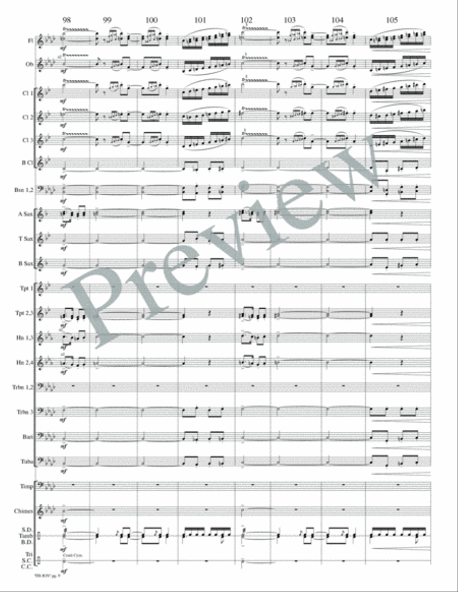 'Tis Joy! Concert Band scores gallery preview page 14