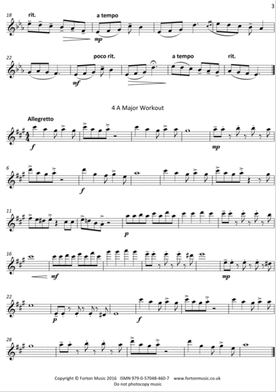 Twenty Four Five Flute scores gallery preview page 3