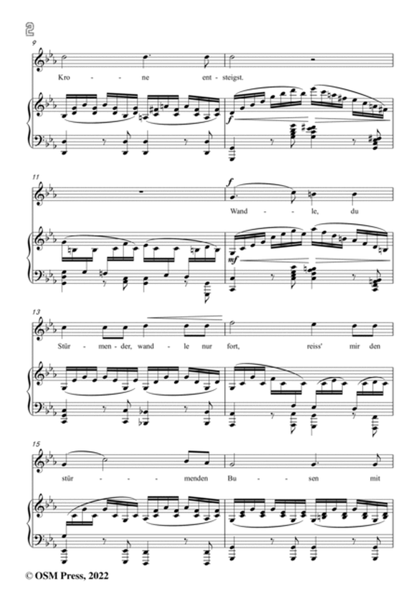 Gernsheim-An den Sturmwind,Op.14 No.6,in c minor,for Voice and Piano