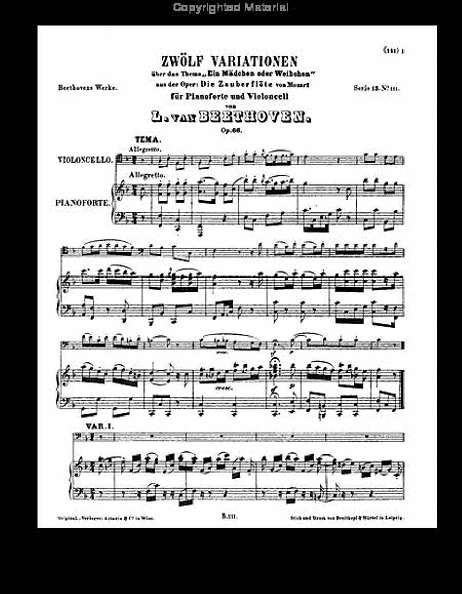 Two sets of Variations on Themes from the 'Magic Flute' (Mozart, W.A.) Bass Clarinet scores gallery preview page 3