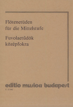 Book cover for Etudes for Flute