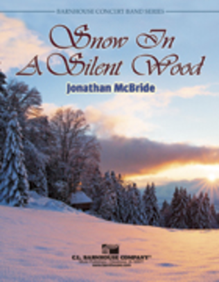 Book cover for Snow In A Silent Wood