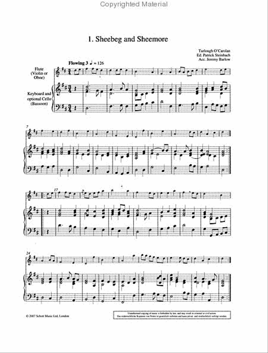 Carolan's Concerto Carolan's Concerto Flute Solo scores gallery preview page 2