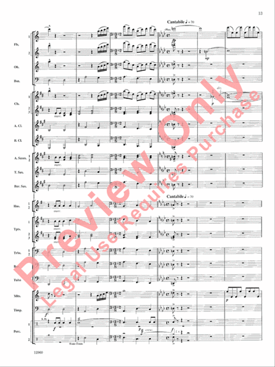 Sailing Songs Concert Band scores gallery preview page 14