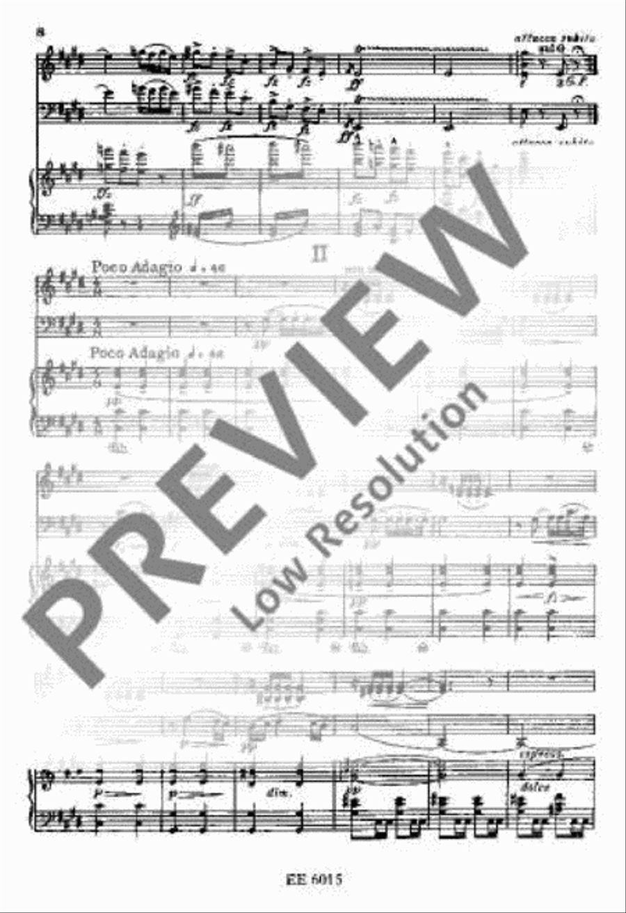 Piano Trio E minor Piano Trio scores gallery preview page 13