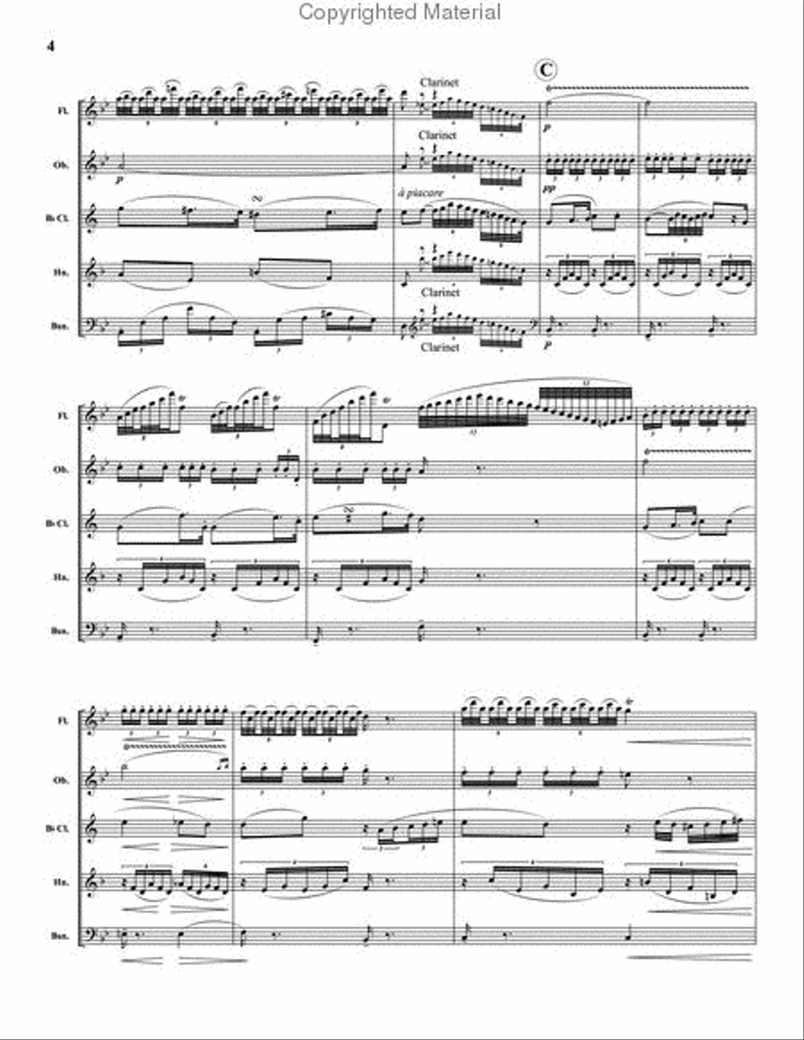 Potpourri Fantastico Woodwind Quintet scores gallery preview page 5
