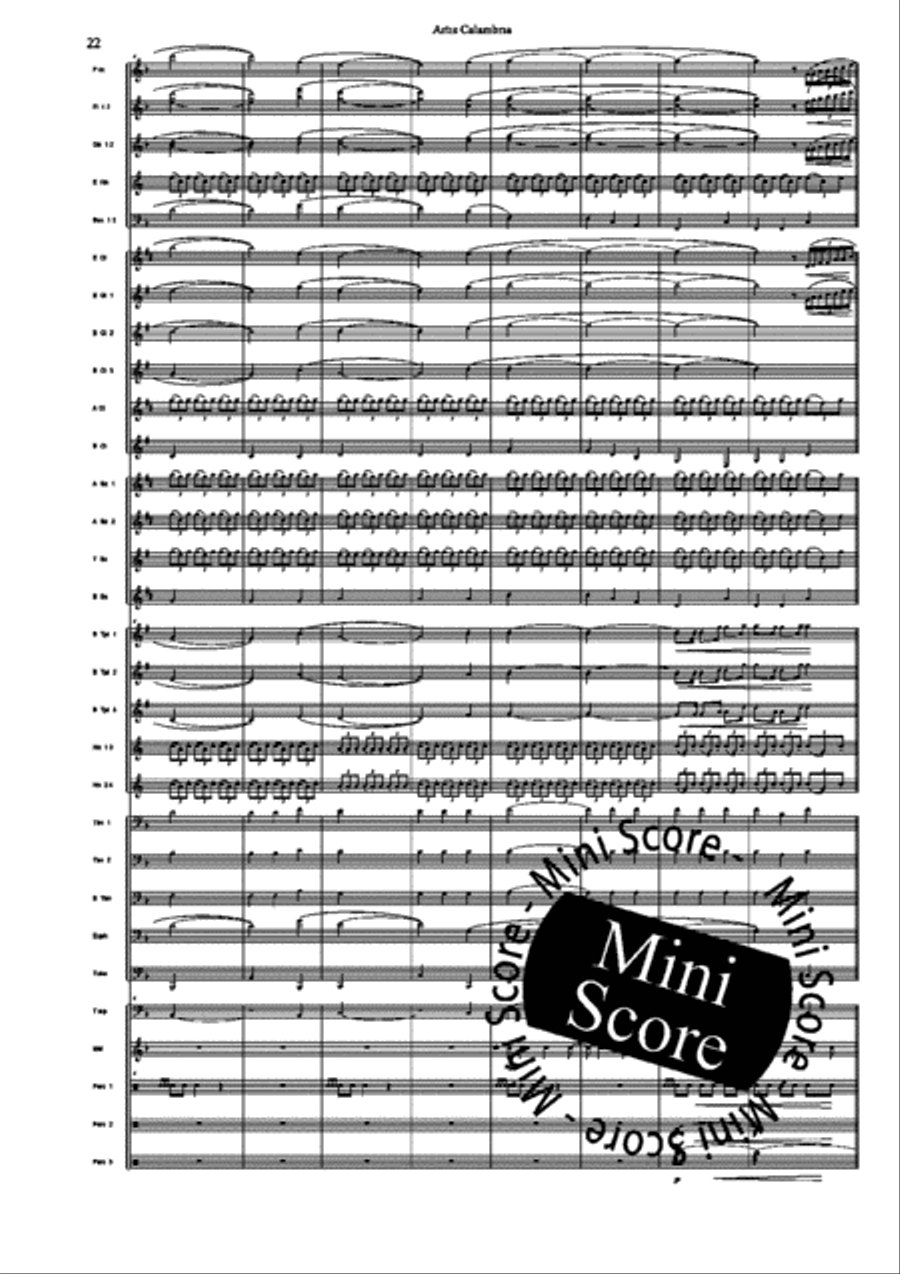 Artis Calambria Concert Band scores gallery preview page 24