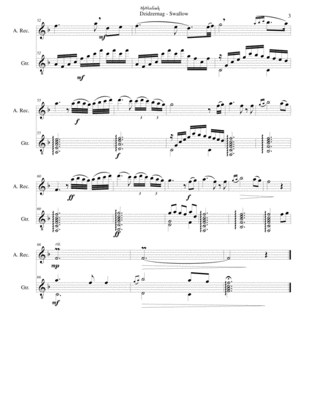 Swallow ԾԻԾԵՌՆԱԿ (Dzidzernag) arranged for alto recorder and guitar image number null