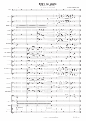 Chi'il bel sogno (La Canzone di Doretta) from 'La Rondine' for soprano solo and concert band