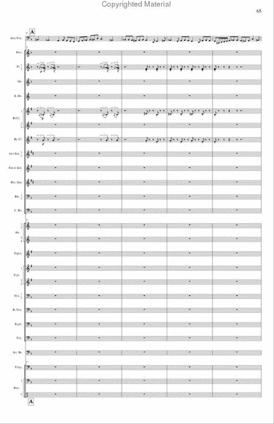Concerto for Tuba and Wind Band Concert Band scores gallery preview page 12