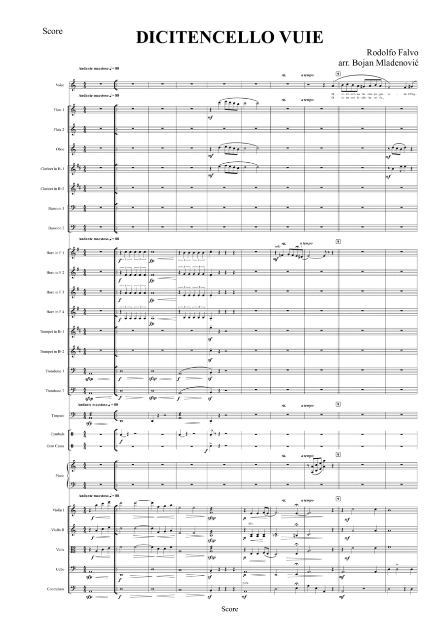 Dicitencello vuie Full Orchestra scores gallery preview page 1