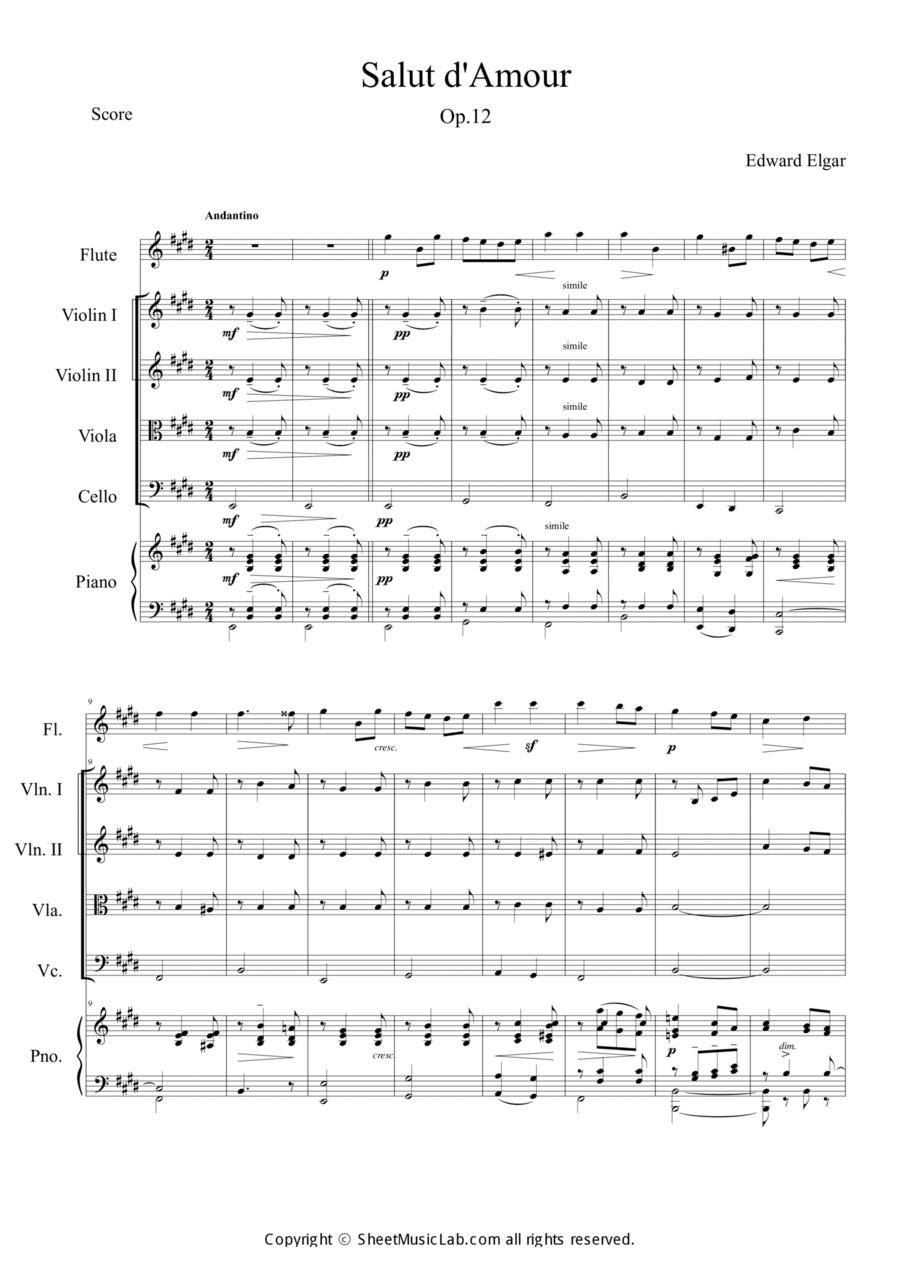 Salut d'amour Orchestra scores gallery preview page 1