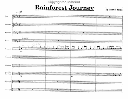 Rainforest Journey image number null
