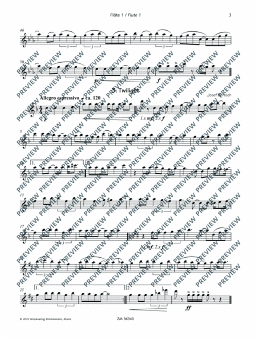 Four little Pop Tunes Flute scores gallery preview page 19