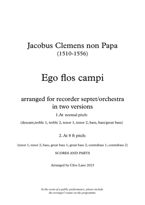 Ego flos campi for recorders