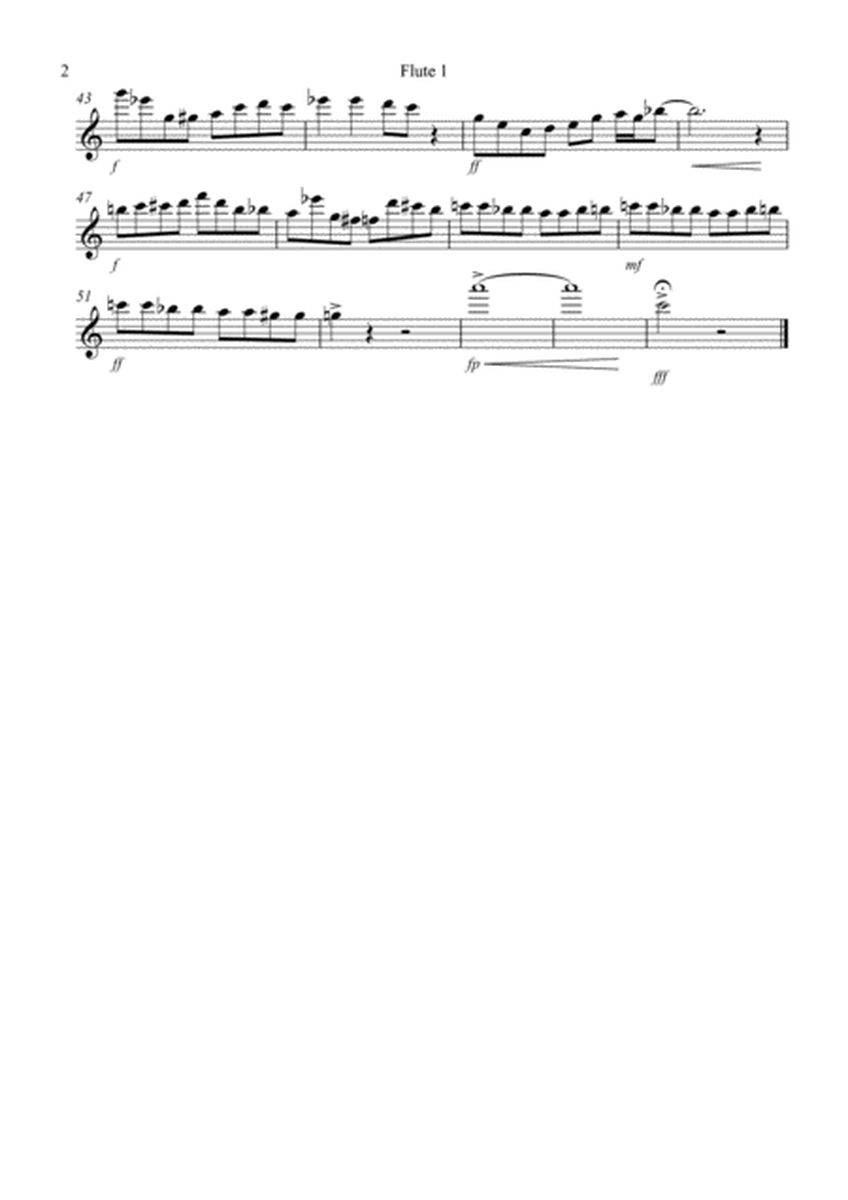 Laundrette Blues! for Flute Quartet image number null