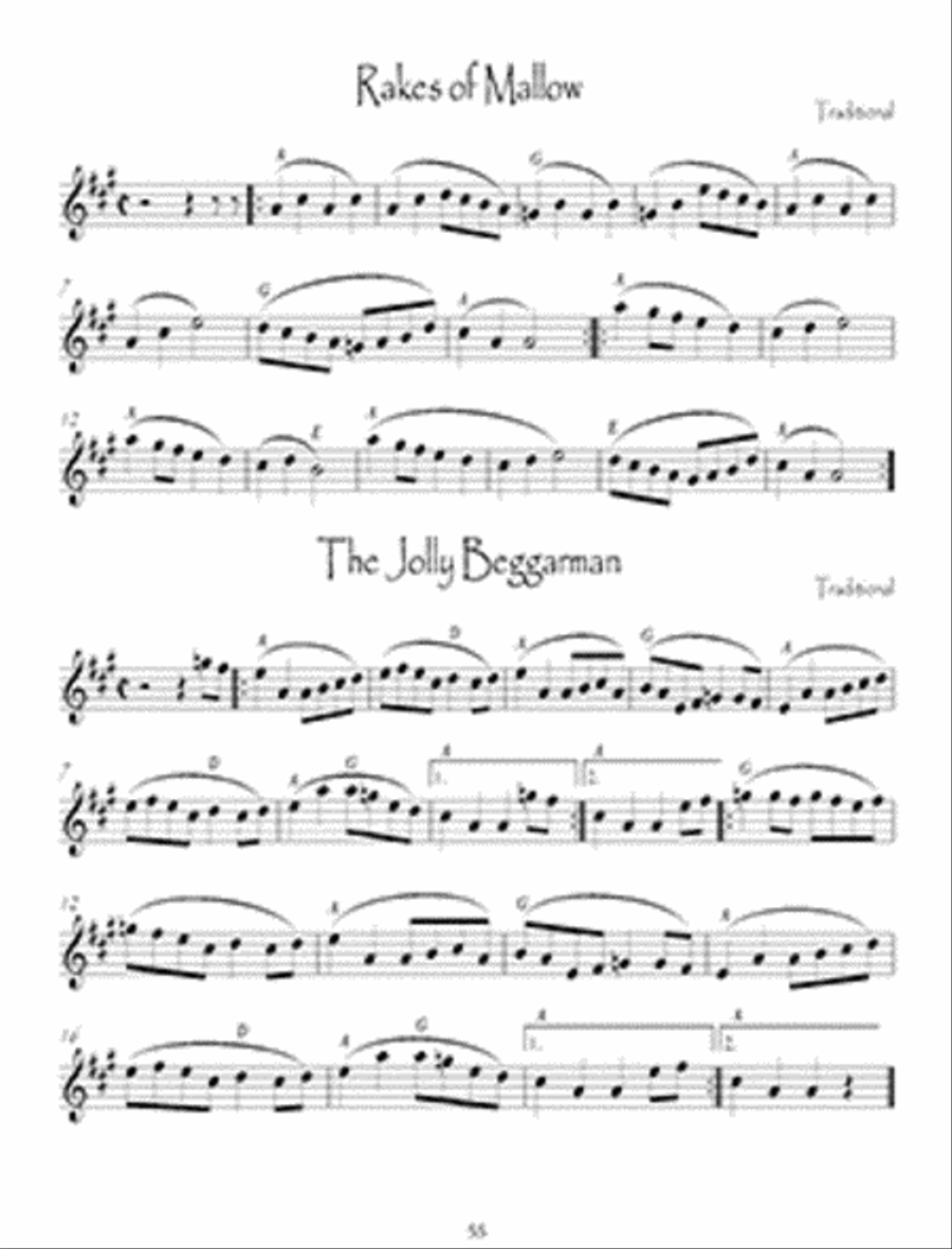 The ceilidh violin deals