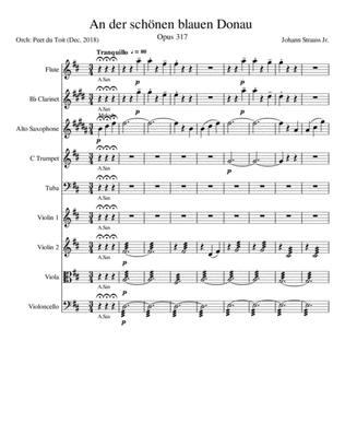 The Blue Danube / An der schönen blauen Donau, Op. 314 - J Strauss Jr. (Mixed Ensemble)