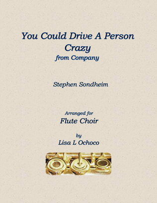 Book cover for You Could Drive A Person Crazy