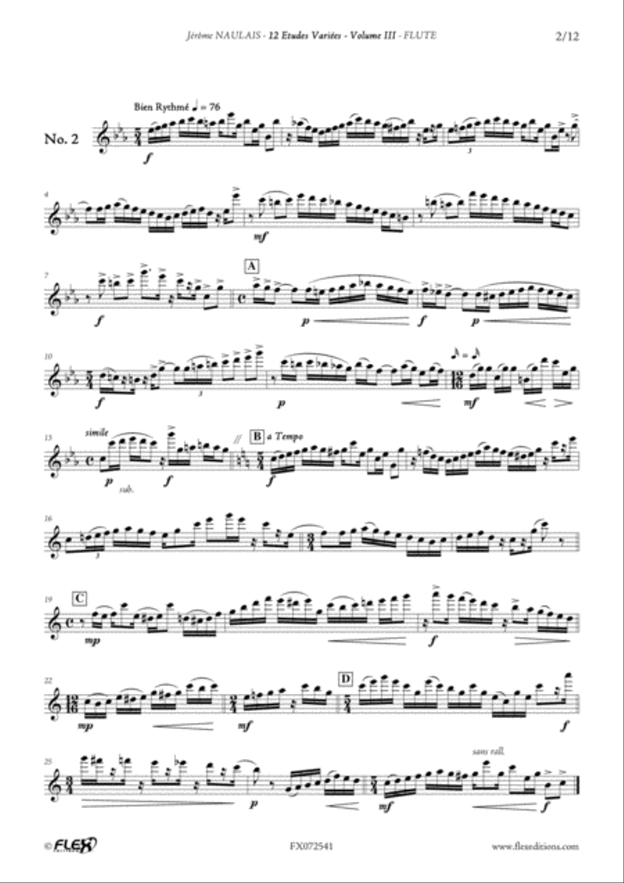 12 Etudes Variees - Volume III Flute Solo scores gallery preview page 3