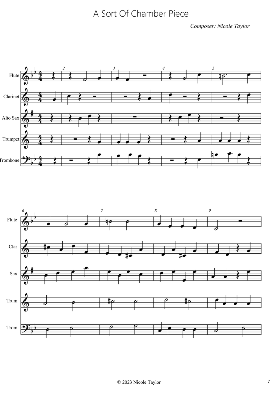 A Sort of Chamber Piece