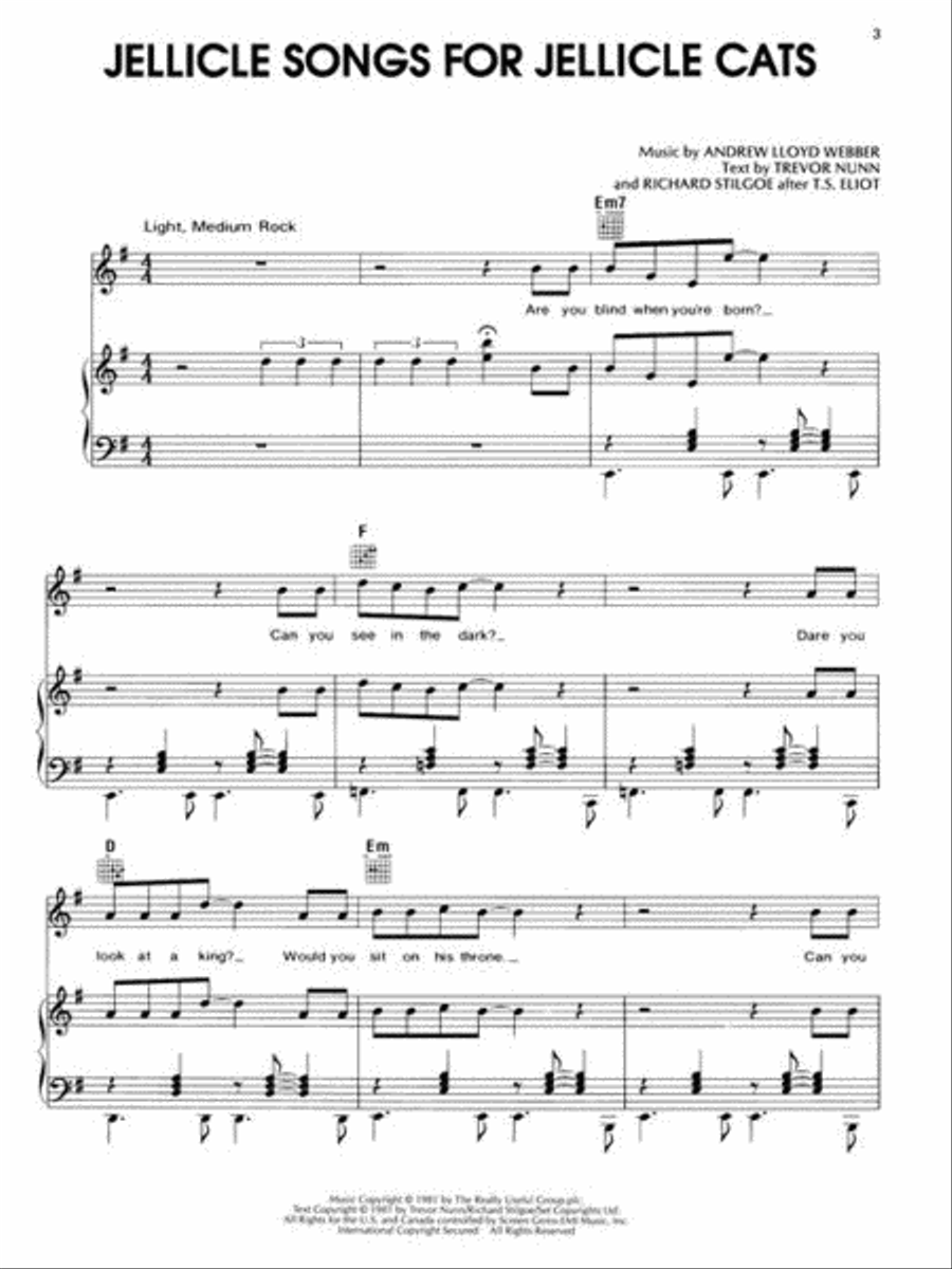 Cats Cats Piano, Vocal, Guitar scores gallery preview page 6
