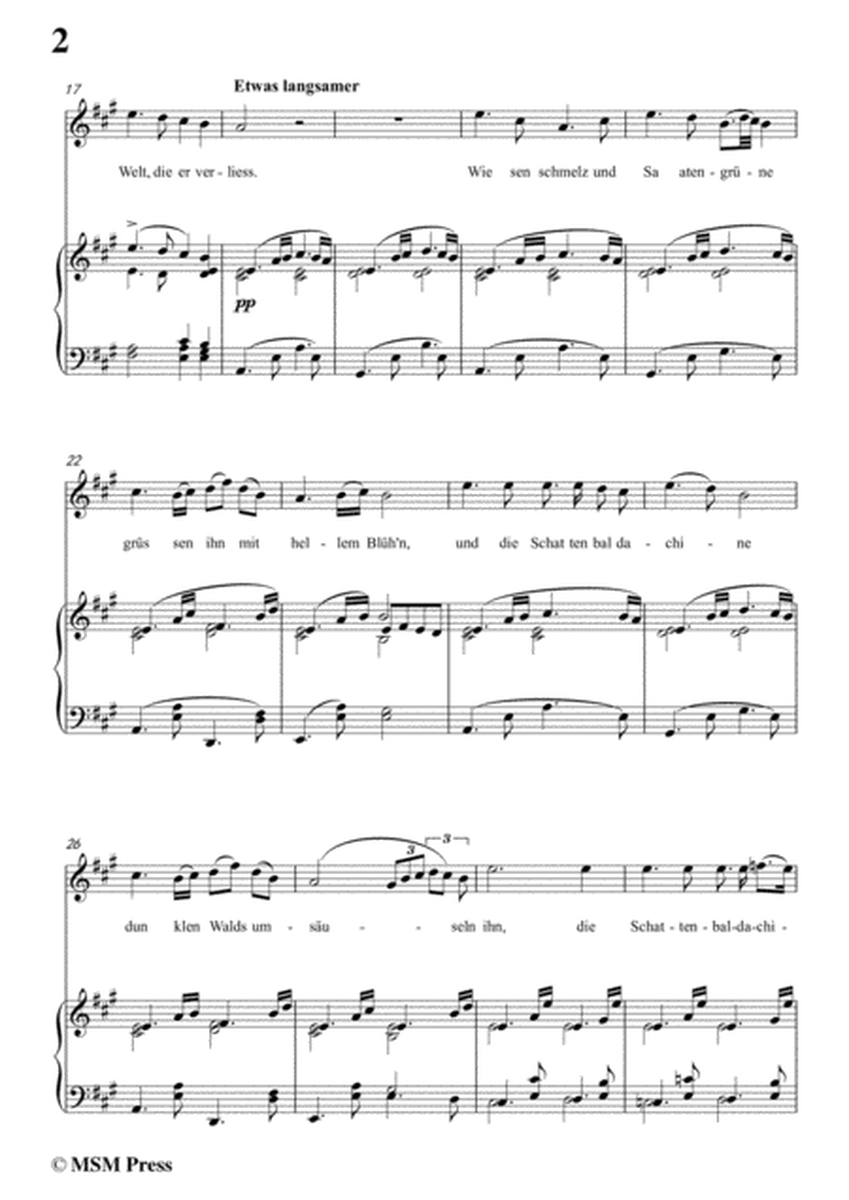 Schubert-Vergissmeinnicht in f sharp minor,for voice and piano image number null