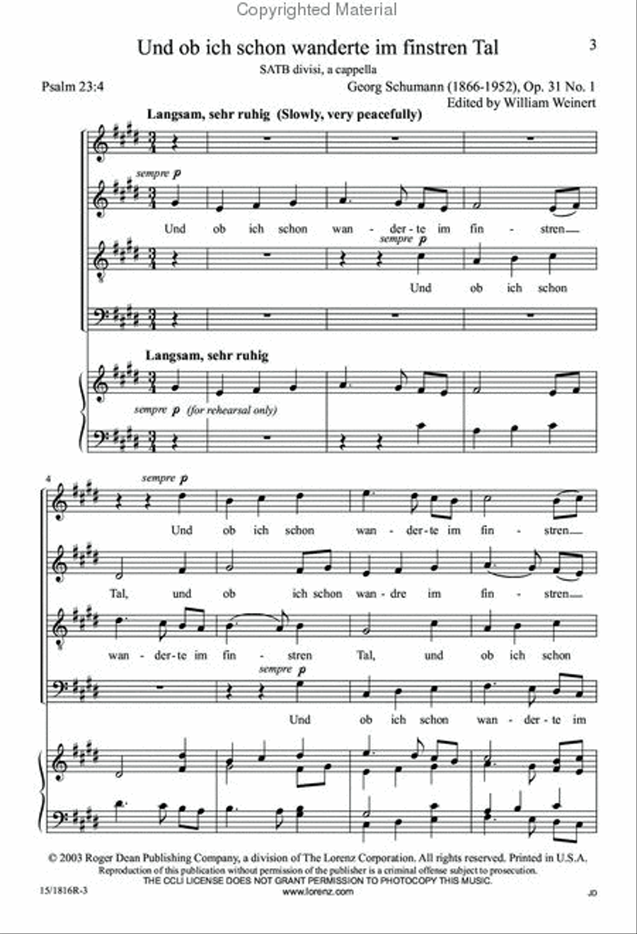 Und Ob Ich Schon Wanderte in Finstren Tal Divisi scores gallery preview page 3