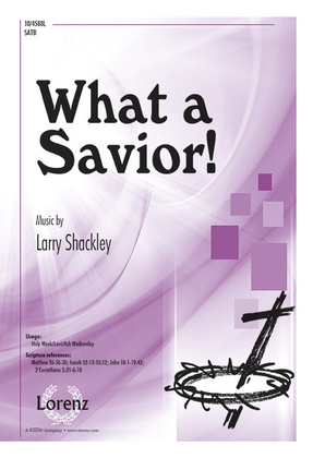 Book cover for What a Savior!