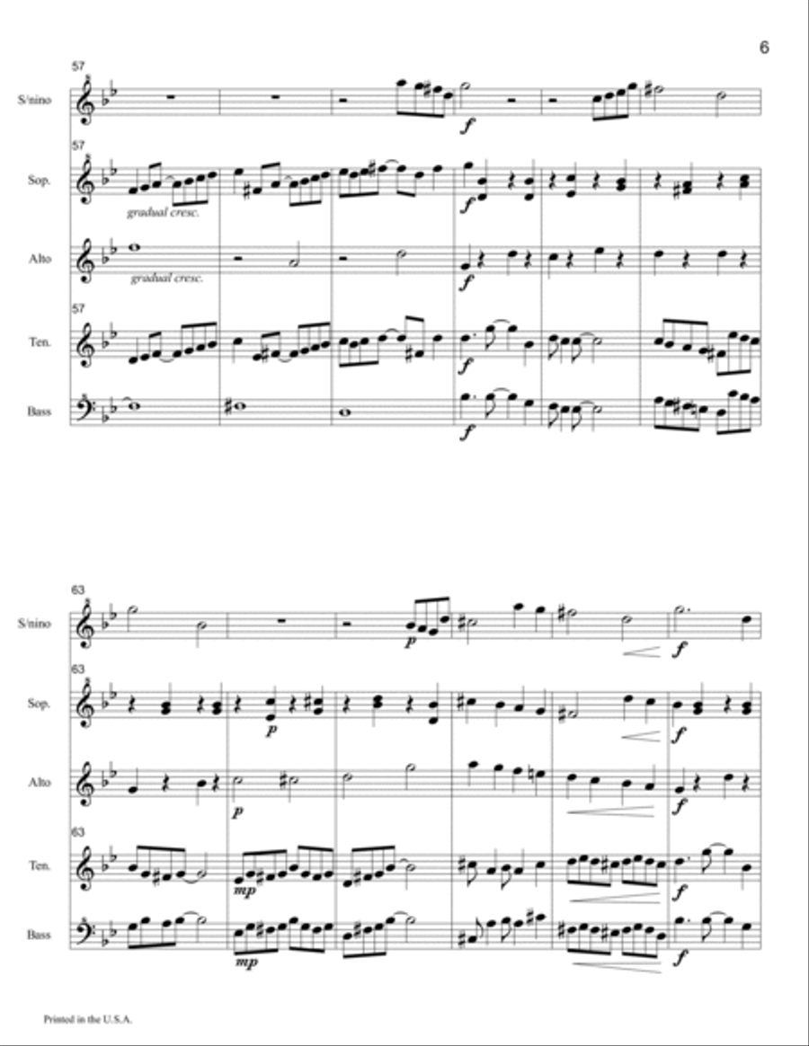 Chief Niwot Rag for Recorder Ensemble Soprano Recorder scores gallery preview page 6