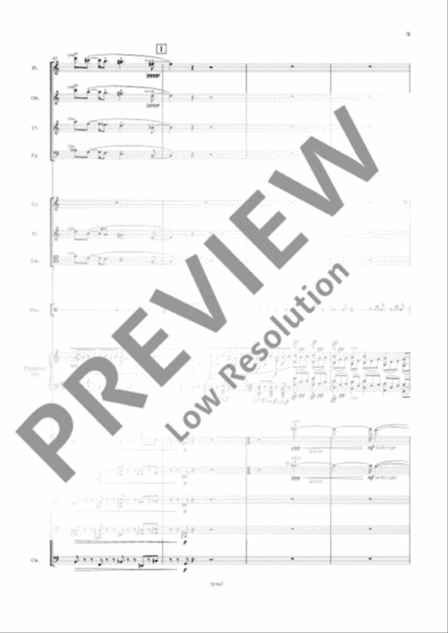Concerto Orchestra scores gallery preview page 18