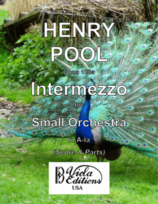 Opus 128a, Intermezzo for Small Orchestra in E-la