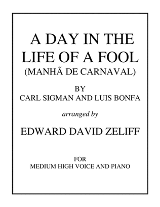 A Day In The Life Of A Fool (manha De Carnaval)