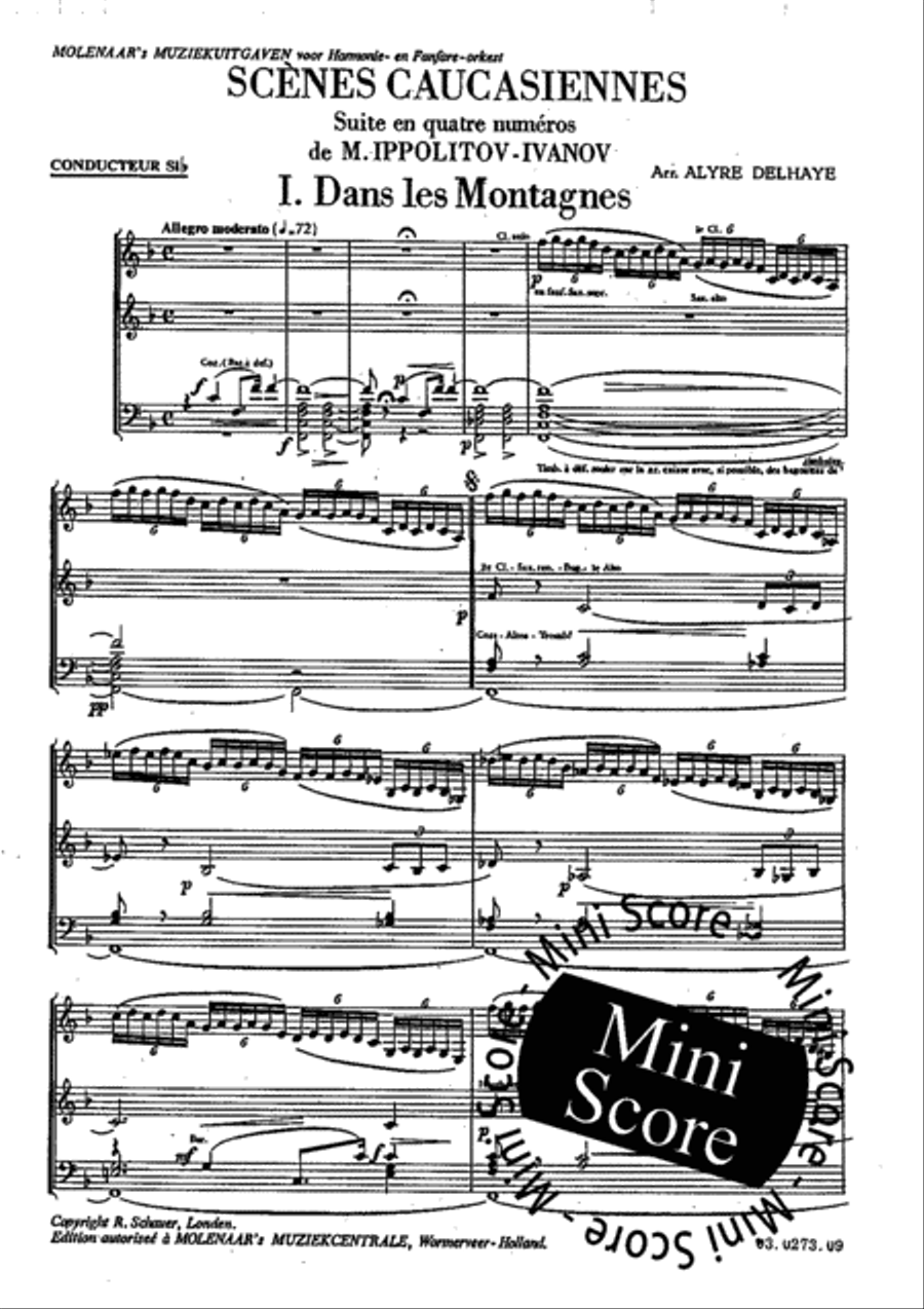 Scenes Caucasiennes Fanfare Band scores gallery preview page 5